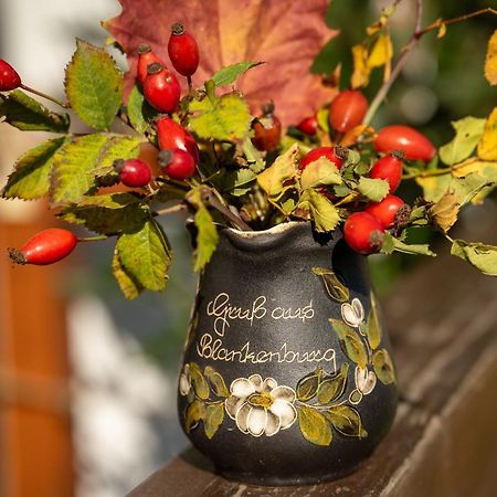 Appartamento Ferienobjekte Familie Beck Blankenburg  Esterno foto